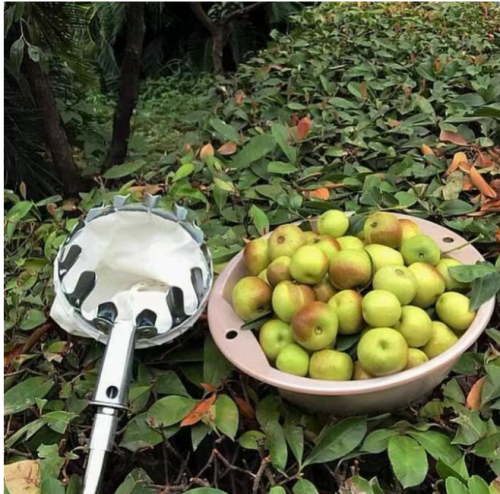 High-Altitude Fruit Picker